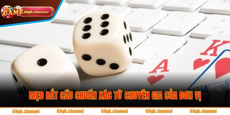 Mẹo bắt cầu chuẩn xác từ chuyên gia của đơn vị